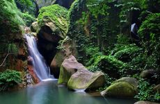 74属虎大溪水命做什么合适