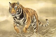 97女牛98男虎婚配穷一辈子吗