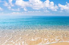 1983年出生的大海水命财运如何