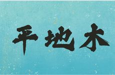 戊戌狗年平地木命怎么样