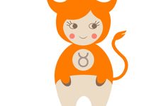金牛座身上有什么闪光点