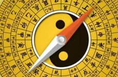 04年属猴人命运