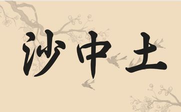 丁巳沙中土的主要含意