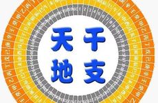 寅卯辰三会局姻缘