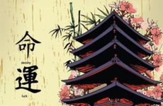 1986年属虎人40岁后命运