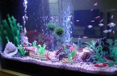 进户门放硬币的讲究