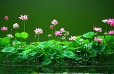 花钱化太岁有必要吗?