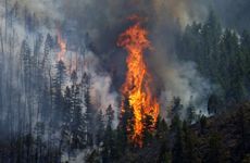 五行山下火命性格特点