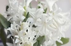 好运爆棚手机尾数8