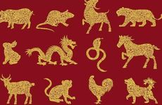 能陪属龙女到老的生肖男