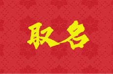 2025年11月14号出生王姓宝宝取名叫什么
