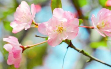 测你2026年正桃花方位位置在哪？