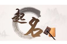 2025年11月11号出生刘姓宝宝取名叫什么