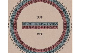 八字解析大运流年以天干为主？还是地支为主？