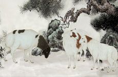 九月羊男为什么不能嫁