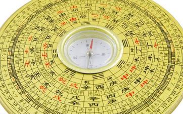 97牛跟95猪八字结婚合不合