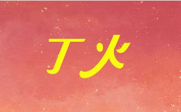 丁火流年寅卯辰三会印局为人谨慎