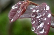 晚年享福的时柱