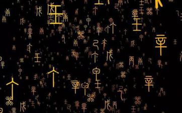 天干三己土详解