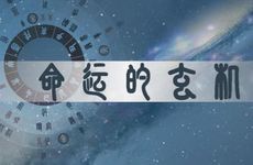 2002年属马人一生命运