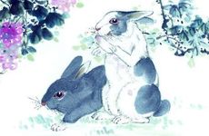 兔和牛婚配怎么样?