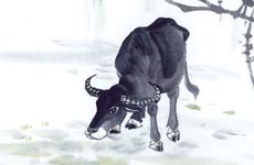 73年牛和82年狗的婚配如何