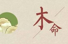 大林木命喜忌分析