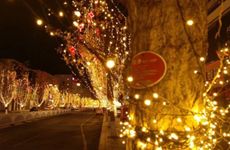 覆灯火命的人床头朝哪个方向最妙