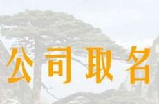 带欧字的经典公司名字怎么取
