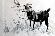 羊鼠怎样才能共度一生