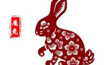 虎和兔婚配怎么样