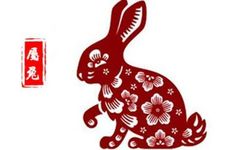 蛇兔婚配好吗？婚后必定会富贵吗？