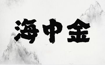 海中金命穿什么颜色衣服旺财