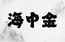 海中金命穿什么颜色衣服旺财