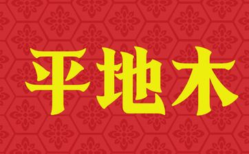 己亥平地木八字纳音