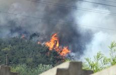 1994年狗山头火命穿什么颜色合适