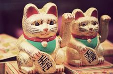 属鼠人为什么运气不好 如何提升财运