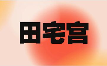 走墓库运的人