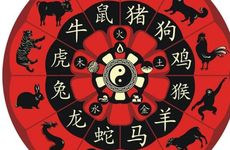 晚年命最好的生肖女人
