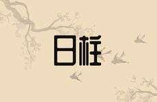 壬寅年日柱最佳婚配