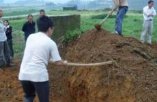 七八不上坟有什么讲究