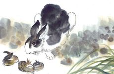 兔和龙是否可以一起创业