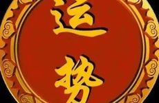 1979年属羊人46岁走大运大发横财吗