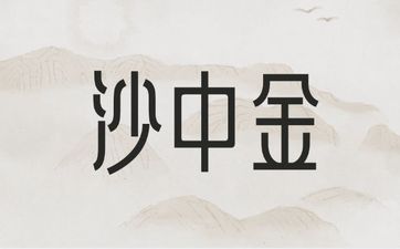 辛亥沙中金的实际含义是什么