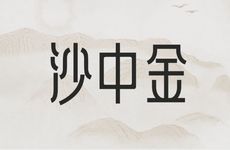 辛亥沙中金的实际含义是什么