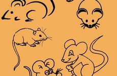 鼠和羊是断头婚吗?能过一辈子吗?