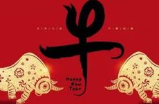 94年的狗和97年的牛婚配合适吗