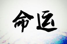 1983年猪43岁后十年大运运程