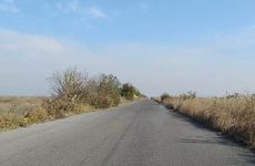 1990路旁土命很倒霉吗