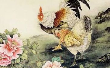 1981年十鸡九苦哪几个月最苦